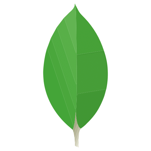 MongoDB skill